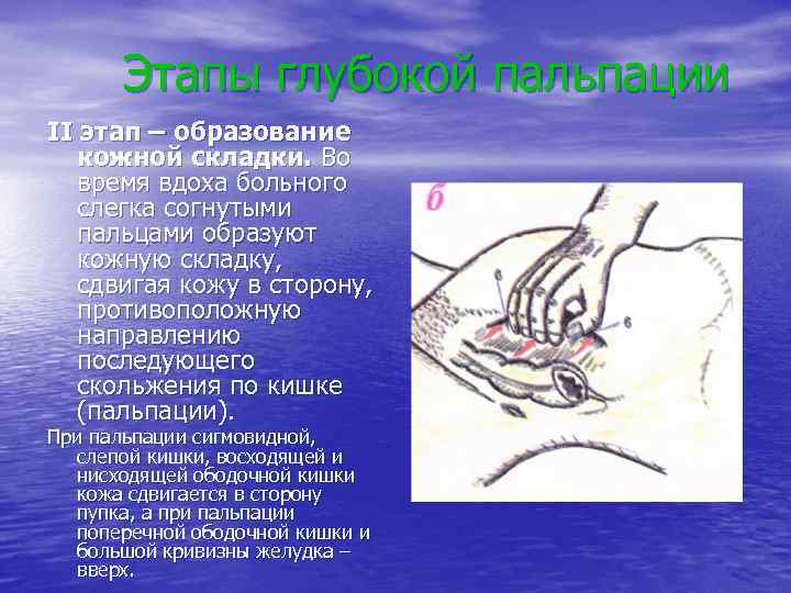 Этапы глубокой пальпации II этап – образование кожной складки. Во время вдоха больного слегка