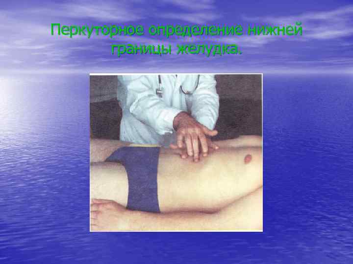 Перкуторное определение нижней границы желудка. 