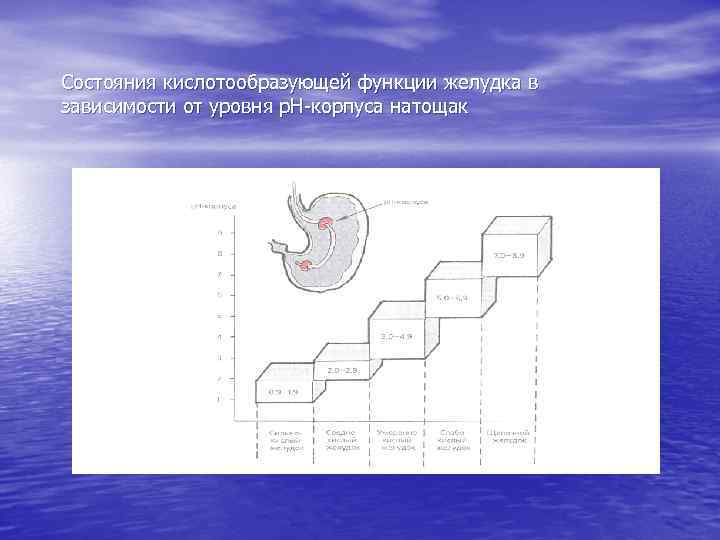 Состояния кислотообразующей функции желудка в зависимости от уровня р. Н-корпуса натощак 