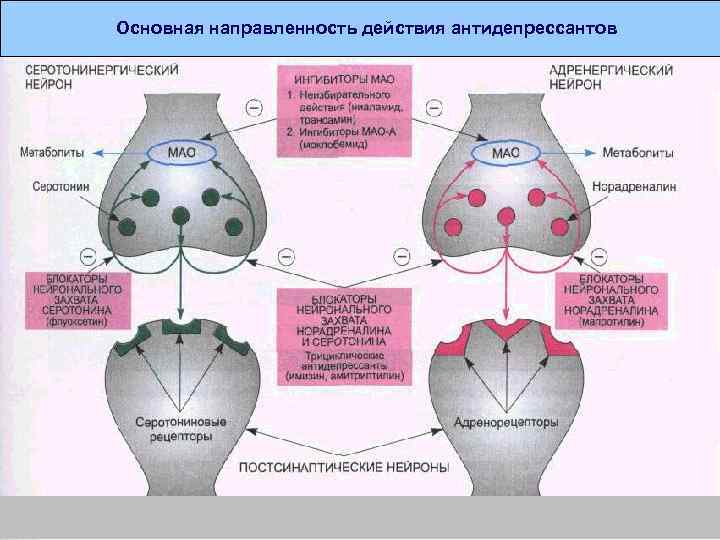  Основная направленность действия антидепрессантов 