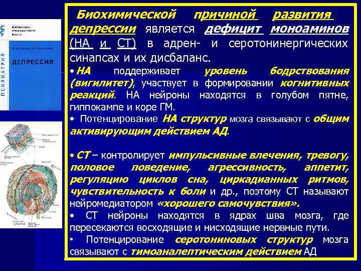 Биохимической причиной развития депрессии является дефицит моноаминов (НА и СТ) в адрен- и серотонинергических