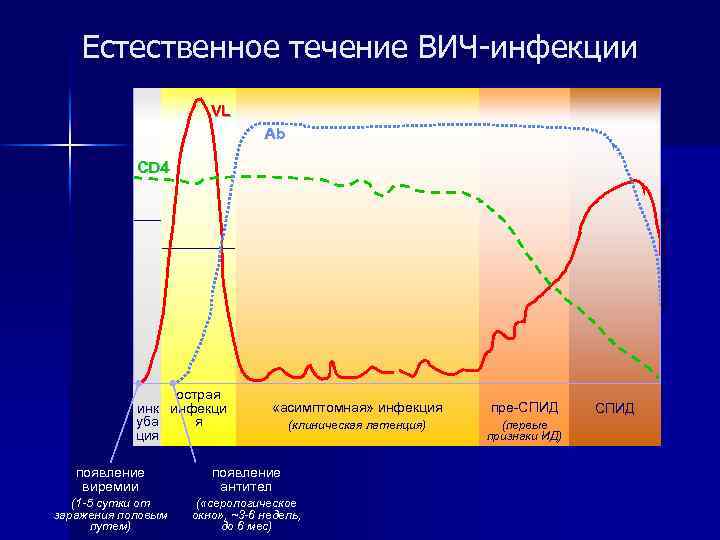 Естественное течение ВИЧ-инфекции VL Ab CD 4 острая инк инфекци я уба ция «асимптомная»