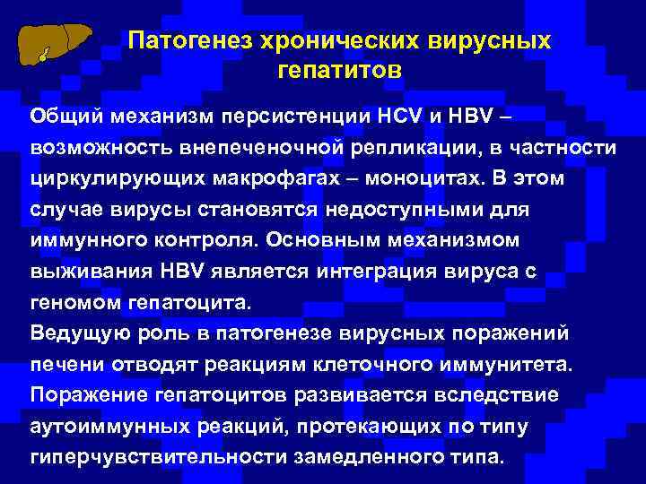 Патогенез хронических вирусных гепатитов Общий механизм персистенции HCV и HBV – возможность внепеченочной репликации,