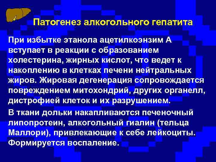 Патогенез алкогольного гепатита При избытке этанола ацетилкоэнзим А вступает в реакции с образованием холестерина,