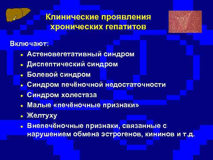 Клинические проявления хронических гепатитов Включают: l Астеновегетативный синдром l Диспептический синдром l Болевой синдром