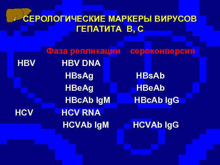 СЕРОЛОГИЧЕСКИЕ МАРКЕРЫ ВИРУСОВ ГЕПАТИТА B, C Фаза репликации сероконверсия HBV DNA HBs. Ag HBs.