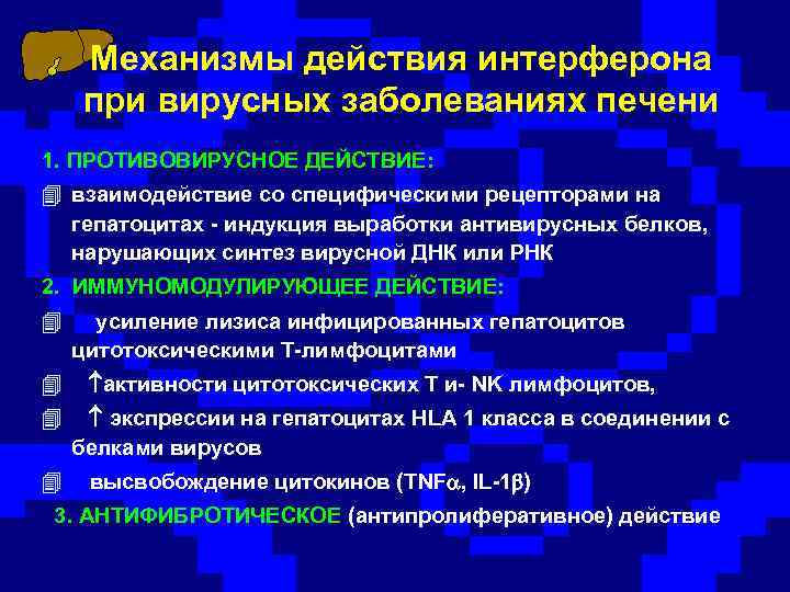 Схема противовирусного действия интерферона альфа