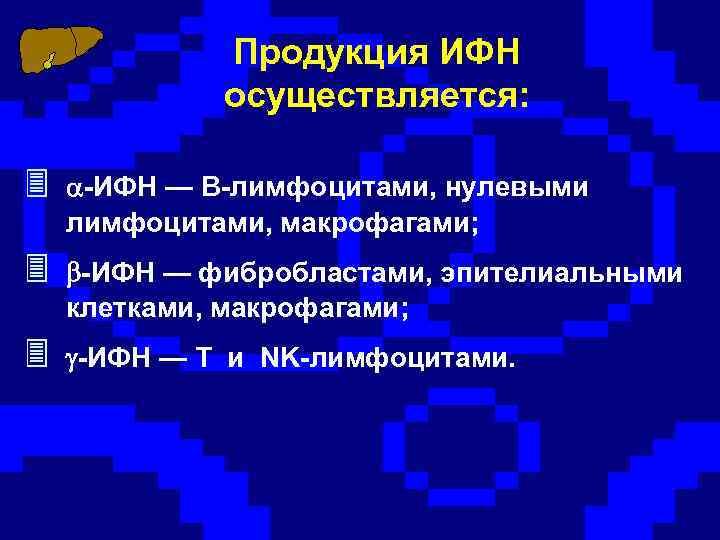 Продукция ИФН осуществляется: -ИФН — В-лимфоцитами, нулевыми лимфоцитами, макрофагами; -ИФН — фибробластами, эпителиальными клетками,