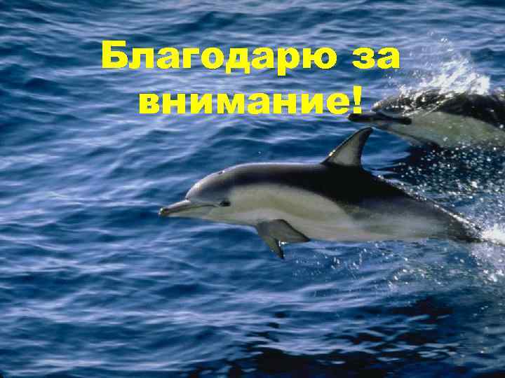 Благодарю за внимание! 