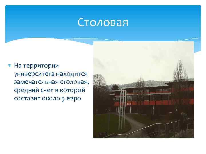 Столовая На территории университета находится замечательная столовая, средний счет в которой составит около 5