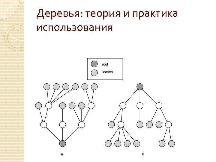 Деревья: теория и практика использования 
