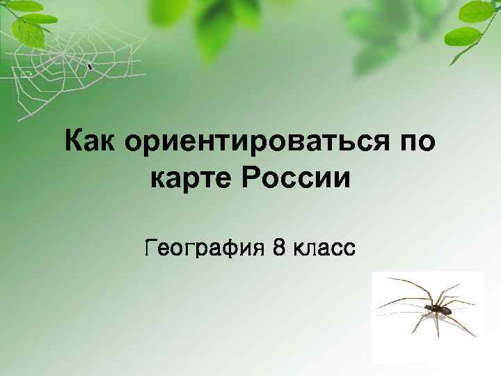 Как ориентироваться по карте России География 8 класс 