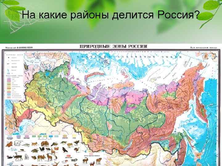 На какие районы делится Россия? 