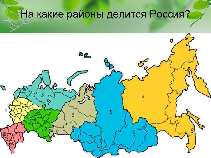 На какие районы делится Россия? 