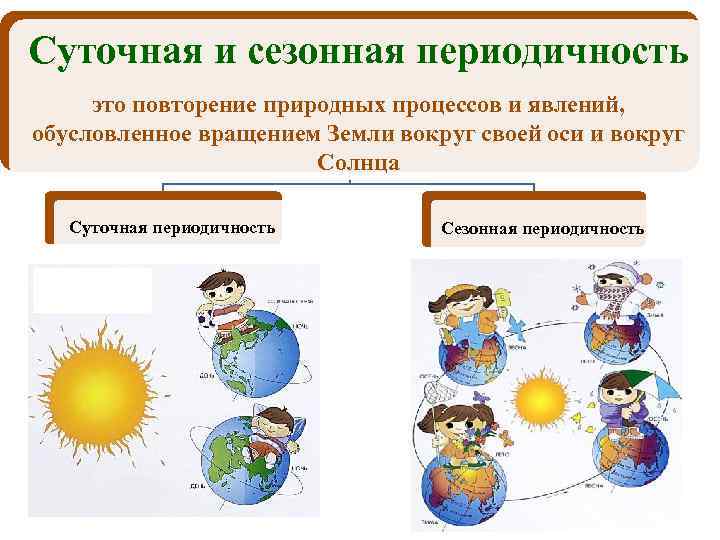 Суточная и сезонная периодичность это повторение природных процессов и явлений, обусловленное вращением Земли вокруг