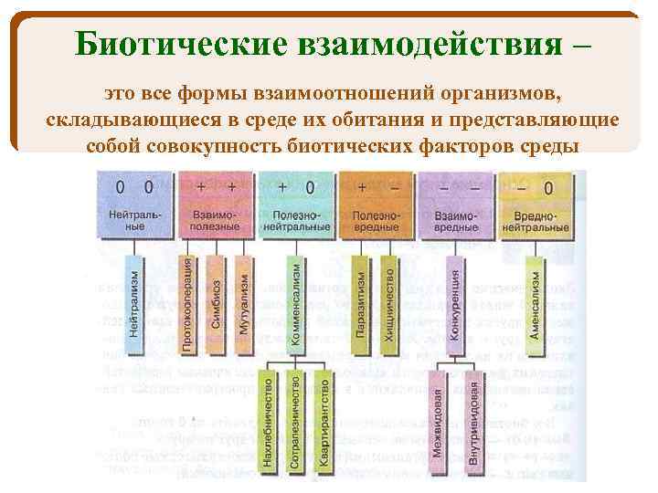 Схема взаимоотношения организмов