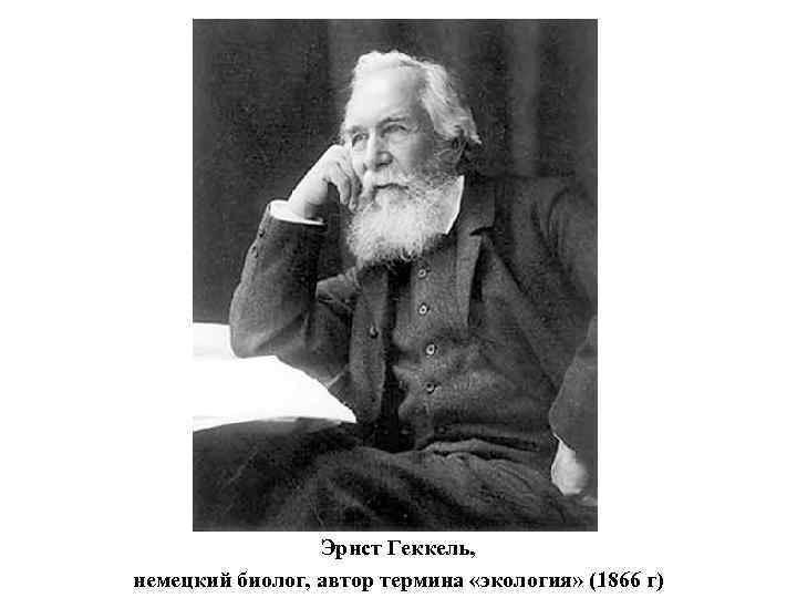 Эрнст Геккель, немецкий биолог, автор термина «экология» (1866 г) 