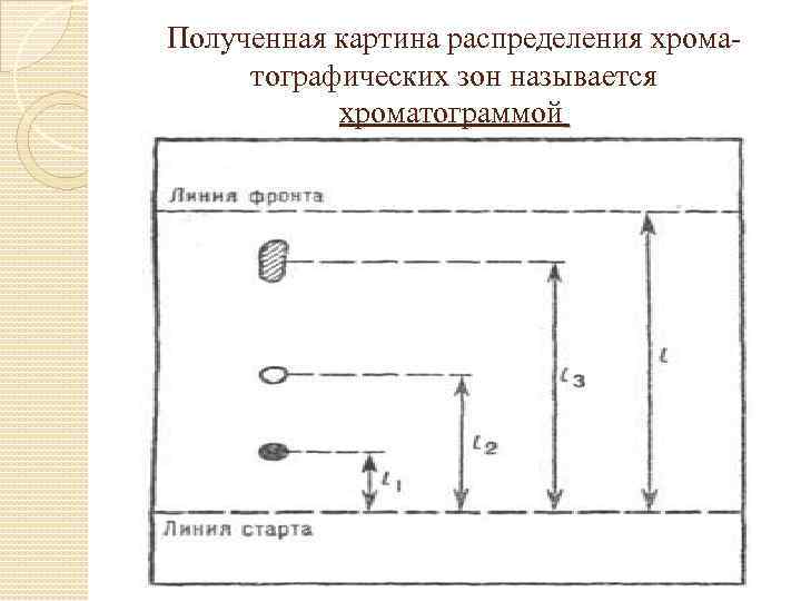 Хроматография тонкослойная схема