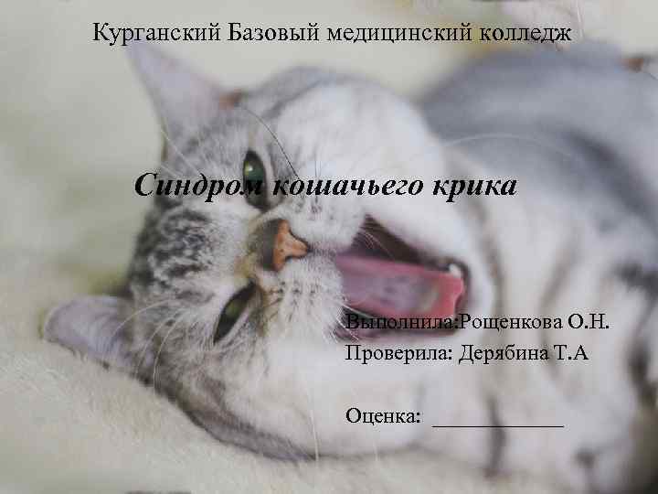 Курганский Базовый медицинский колледж Синдром кошачьего крика Выполнила: Рощенкова О. Н. Проверила: Дерябина Т.