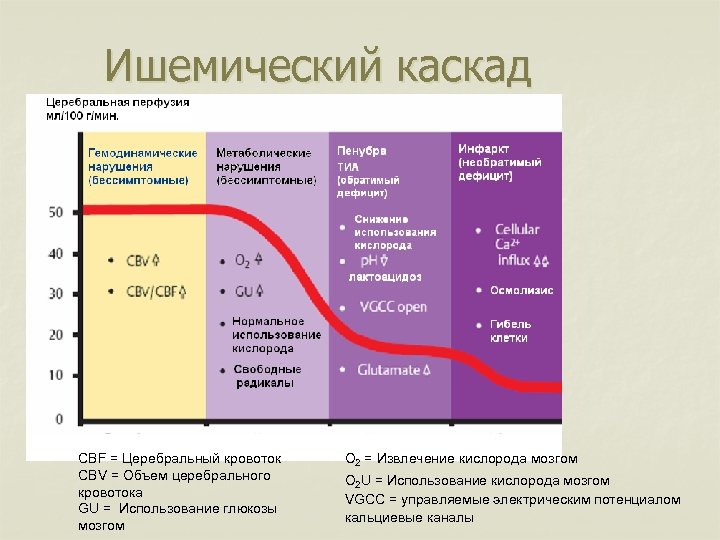 Ишемический каскад CBF = Церебральный кровоток CBV = Объем церебрального кровотока GU = Использование