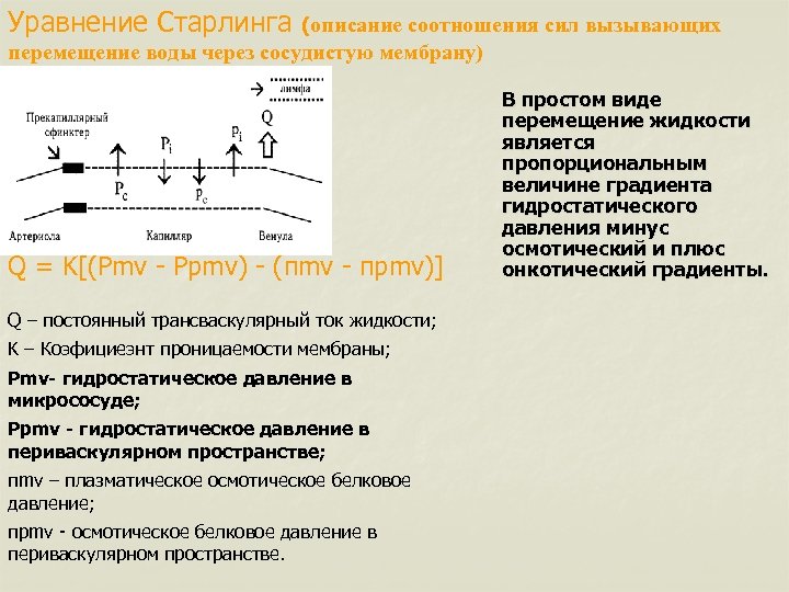 Уравнение Старлинга (описание соотношения сил вызывающих перемещение воды через сосудистую мембрану) Q = K[(Pmv