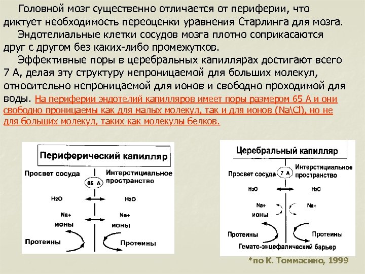 Головной мозг существенно отличается от периферии, что диктует необходимость переоценки уравнения Старлинга для мозга.