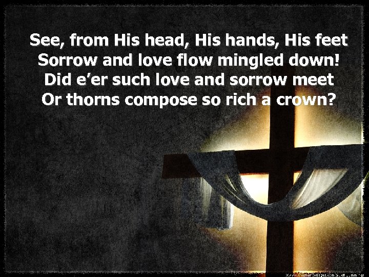 See, from His head, His hands, His feet Sorrow and love flow mingled down!