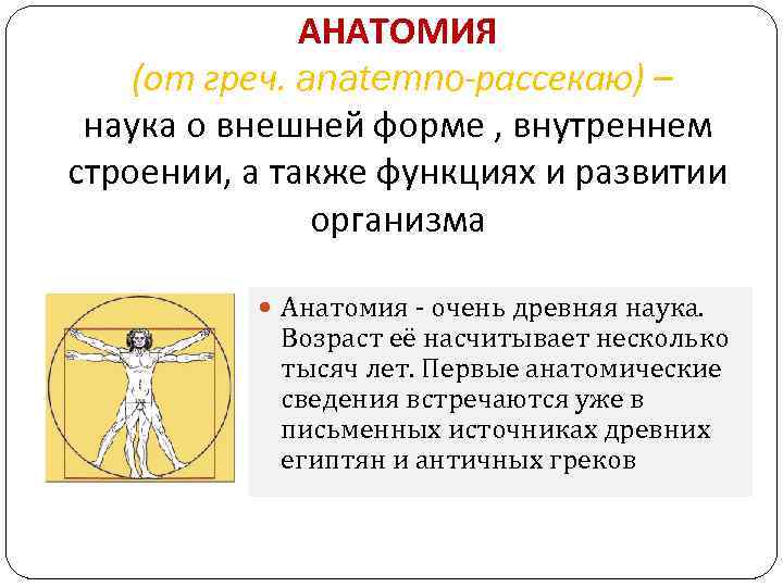 АНАТОМИЯ (от греч. anatemno-рассекаю) – наука о внешней форме , внутреннем строении, а также