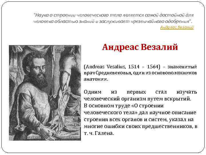 "Наука о строении человеческого тела является самой достойной для человека областью знаний и заслуживает