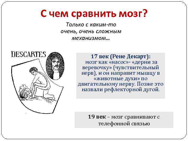 С чем сравнить мозг? Только с каким-то очень, очень сложным механизмом… 17 век (Рене
