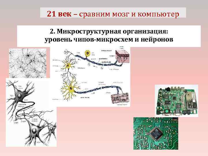 21 век – сравним мозг и компьютер 2. Микроструктурная организация: уровень чипов-микросхем и нейронов