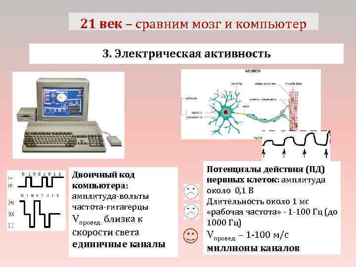 21 век – сравним мозг и компьютер 3. Электрическая активность Двоичный код компьютера: амплитуда-вольты