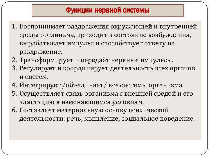Функции нервной системы 1. Воспринимает раздражения окружающей и внутренней среды организма, приходит в состояние