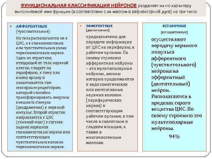ФУНКЦИОНАЛЬНАЯ КЛАССИФИКАЦИЯ НЕЙРОНОВ разделяет их по характеру выполняемой ими функции (в соответствии с их