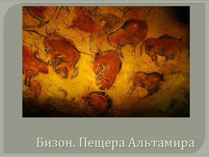 Бизон. Пещера Альтамира 