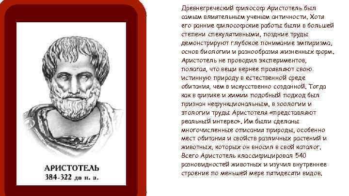 Древнегреческий философ Аристотель был самым влиятельным ученым античности. Хотя его ранние философские работы были