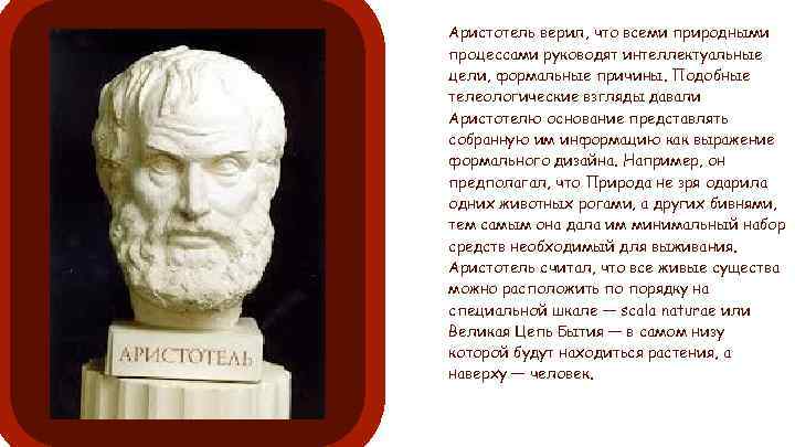 Аристотель взгляд на природу. Причины по Аристотелю. Великая цепь бытия Аристотеля. Великая цепь бытия лавджой.