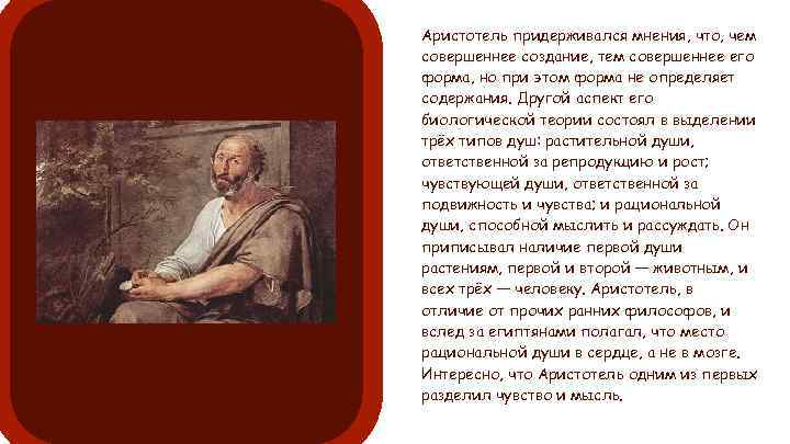 Аристотель придерживался мнения, что, чем совершеннее создание, тем совершеннее его форма, но при этом