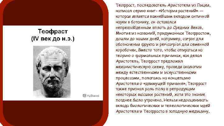 Теофраст, последователь Аристотеля из Лицея, написал серию книг- «История растений» — которая является важнейшим