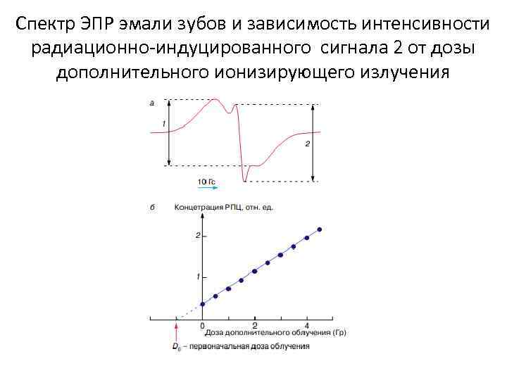 Спектр ЭПР эмали зубов и зависимость интенсивности радиационно-индуцированного сигнала 2 от дозы дополнительного ионизирующего