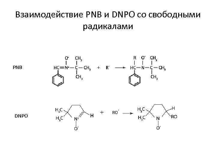 Взаимодействие PNB и DNPO со свободными радикалами PNB DNPO 