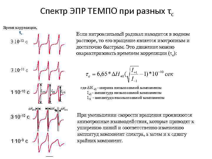 Cпектр ЭПР ТЕМПО при разных τс Время корреляции, tc Если нитроксильный радикал находится в