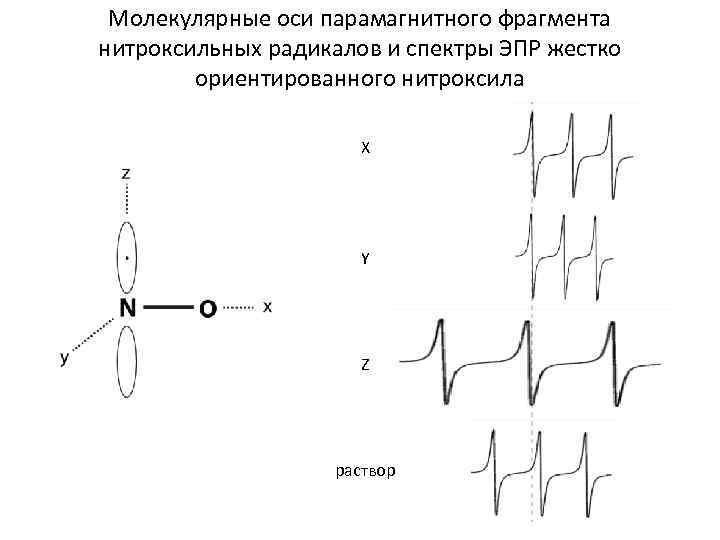 Молекулярные оси парамагнитного фрагмента нитроксильных радикалов и спектры ЭПР жестко ориентированного нитроксила X Y