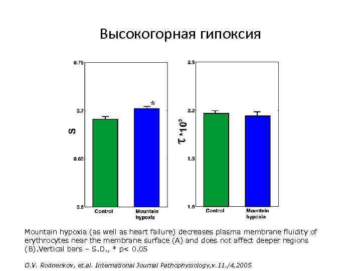 Высокогорная гипоксия Mountain hypoxia (as well as heart failure) decreases plasma membrane fluidity of