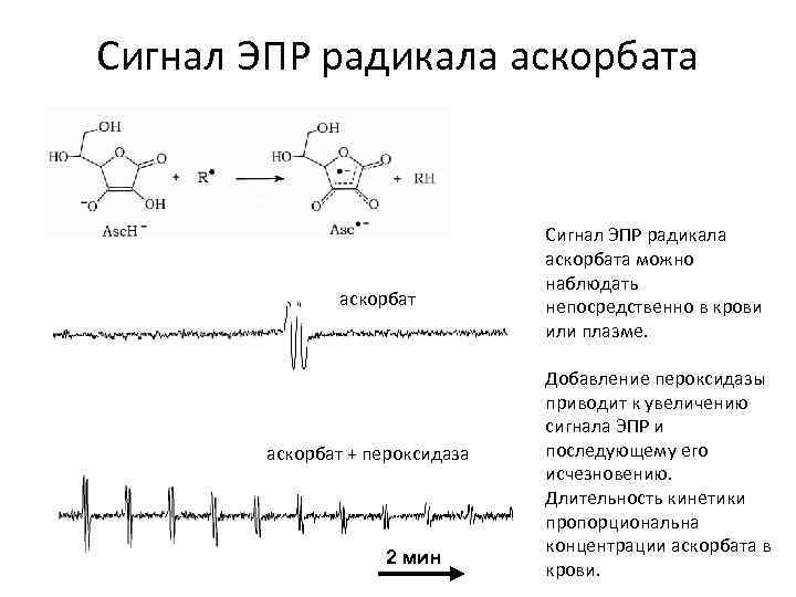 Сигнал ЭПР радикала аскорбат + пероксидаза 2 мин Сигнал ЭПР радикала аскорбата можно наблюдать