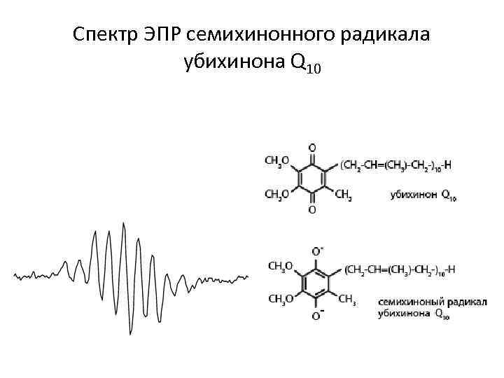 Спектр ЭПР семихинонного радикала убихинона Q 10 