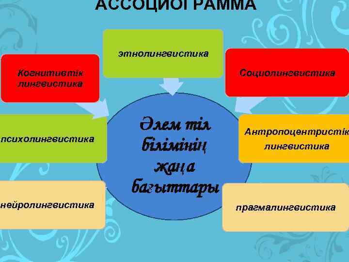 АССОЦИОГРАММА этнолингвистика Социолингвистика Когнитивтік лингвистика психолингвистика нейролингвистика Әлем тіл білімінің жаңа бағыттары Антропоцентристік лингвистика