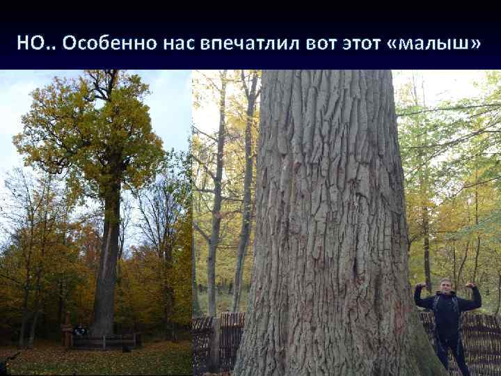 НО. . Особенно нас впечатлил вот этот «малыш» 