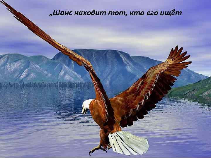 „Шанс находит тот, кто его ищет “ 