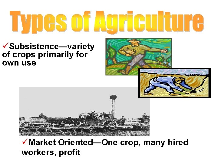 üSubsistence—variety of crops primarily for own use üMarket Oriented—One crop, many hired workers, profit